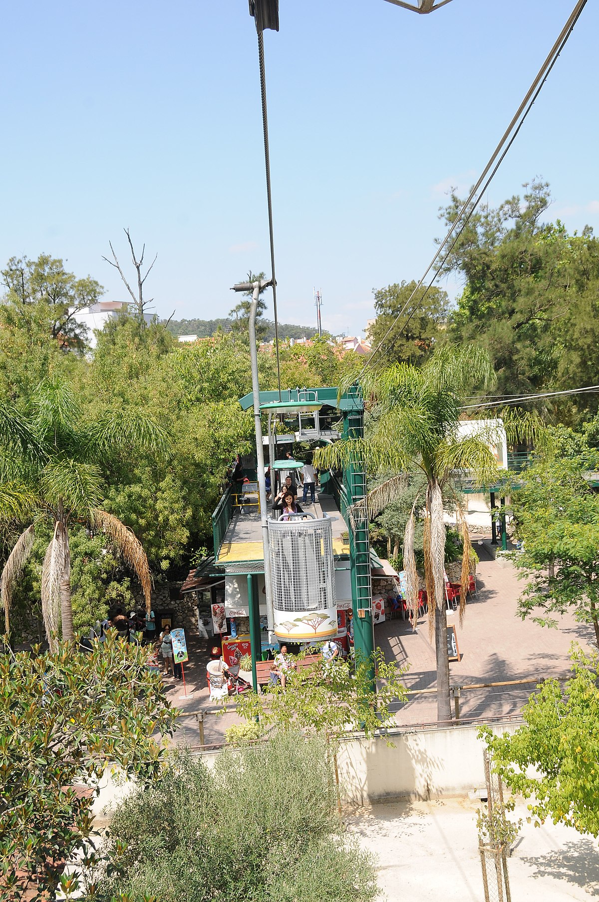 Jardin Zoologique Lisbonne Élégant File Teleferico Zoo De Lisboa Jpg Wikimedia Mons