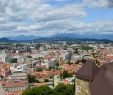 Jardin Zoologique Lisbonne Frais Ljubljana Wikiwand