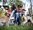 Jardin Zoologique Lisbonne Luxe Lisbon Zoo