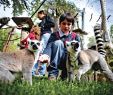 Jardin Zoologique Lisbonne Luxe Lisbon Zoo