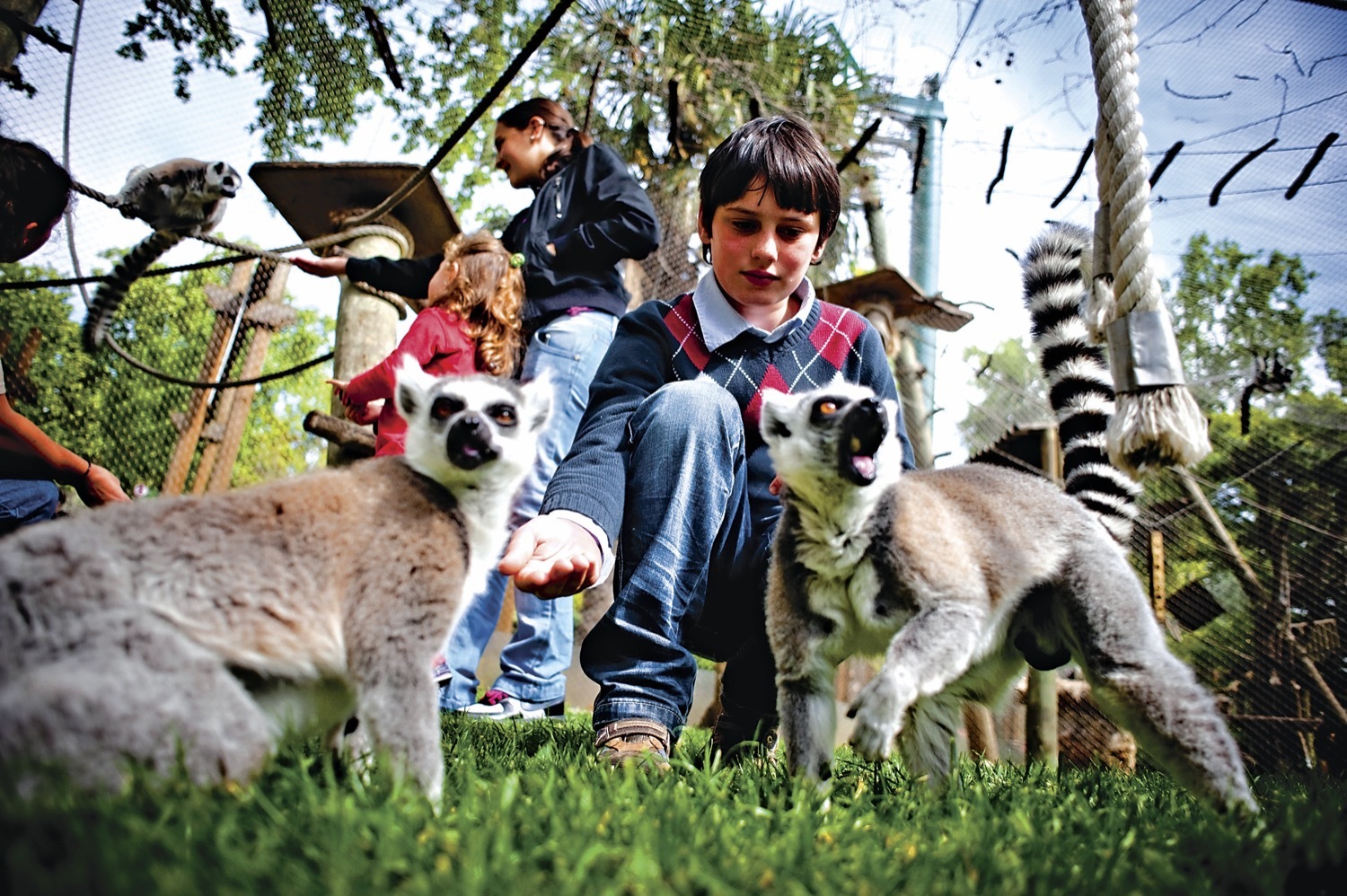 Jardin Zoologique Lisbonne Luxe Lisbon Zoo