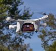 Le Grand Jardin Baume Les Messieurs Charmant Ups Delivers Prescription Medications to Us Homes by Drone