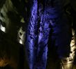 Le Grand Jardin Baume Les Messieurs Luxe Grottes De Baume Les Messieurs