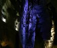 Le Grand Jardin Baume Les Messieurs Luxe Grottes De Baume Les Messieurs