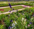 Le Grand Jardin Beau the Garden Of the Grand Trianon – Versailles – tourist