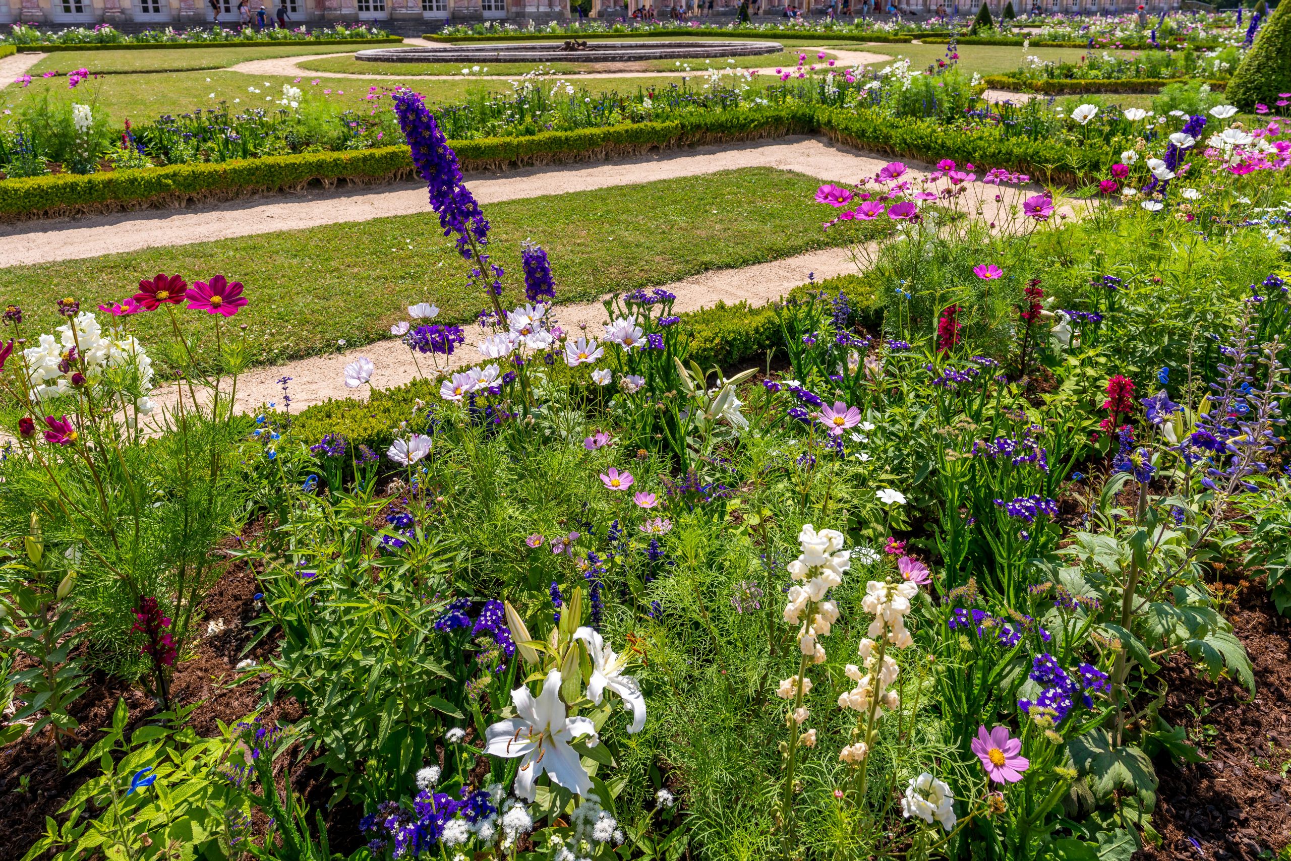 le jardin du grand trianon 002