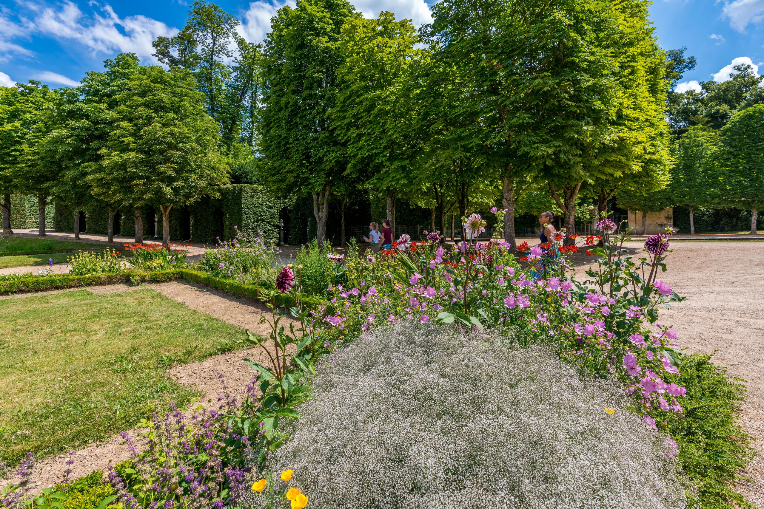 Le Grand Jardin Best Of the Garden Of the Grand Trianon – Versailles – tourist