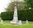 Le Grand Jardin De Chine Reims Beau Aure Ardennes