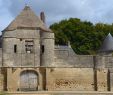 Le Grand Jardin De Chine Reims Frais File 2012 Dsc 0248 Enceinte fortifiée Du Ch¢teau De Noüe  