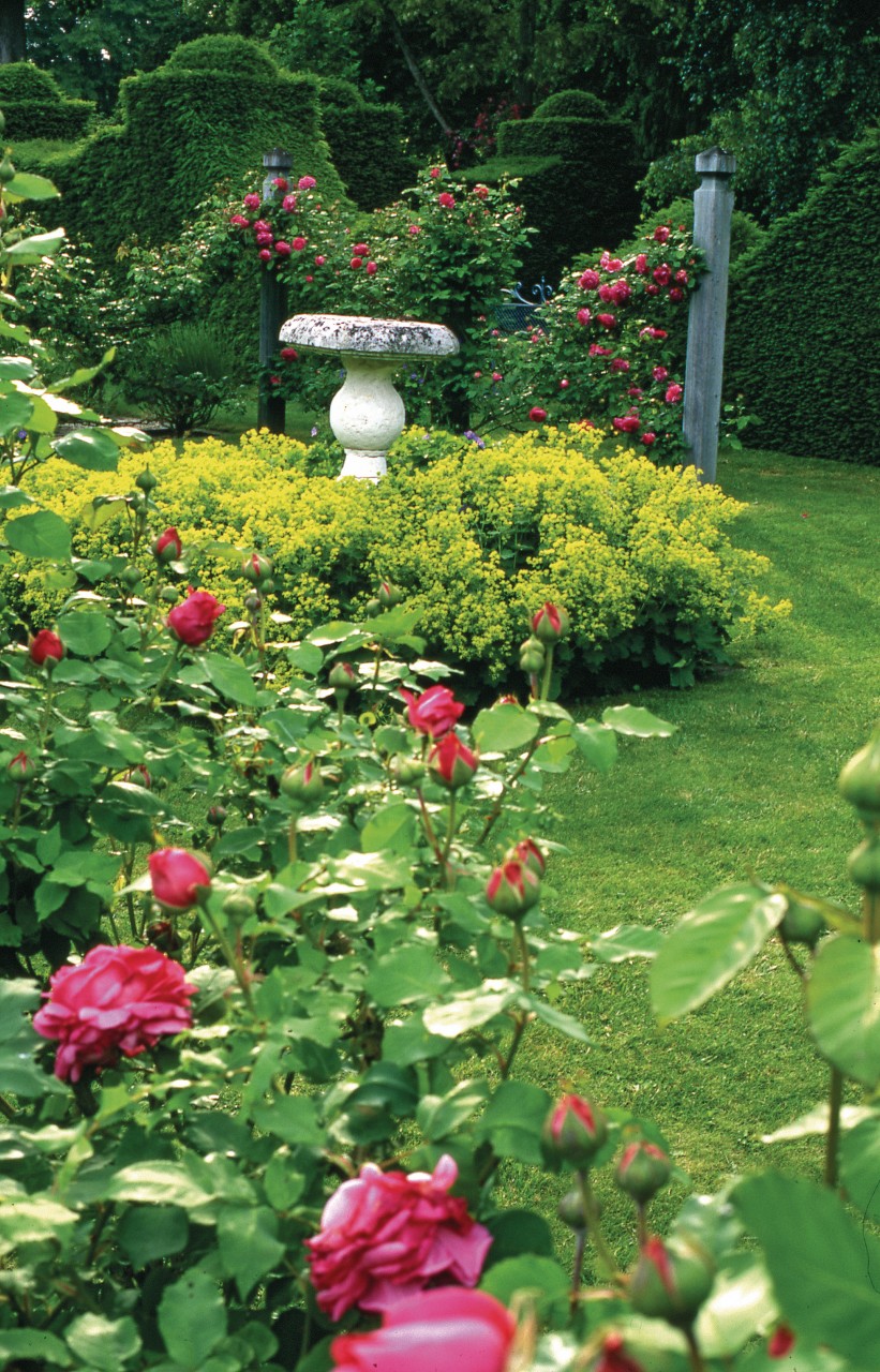 Le Grand Jardin Génial S Des Ch¢teaux De La Loire Page 33