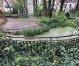 Le Grand Jardin Inspirant Jardin Sauvage De St Vincent Paris 2020 All You Need to
