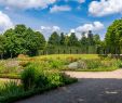 Le Grand Jardin Inspirant the Garden Of the Grand Trianon – Versailles – tourist