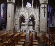 Le Jardin Anglais Guingamp Best Of Cathedrale Saint Tugdual Treguier Tripadvisor