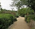 Le Jardin D Antoine Beau Jardin Villemin Paris 2020 All You Need to Know before