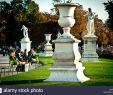 Le Jardin D Antoine Beau Tuileries Garden Statues Stock S & Tuileries Garden