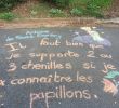 Le Jardin D Antoine Inspirant Aislearns Aislearns