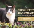 Le Jardin D été Carcassonne Élégant Free Line Website Malware Scanner