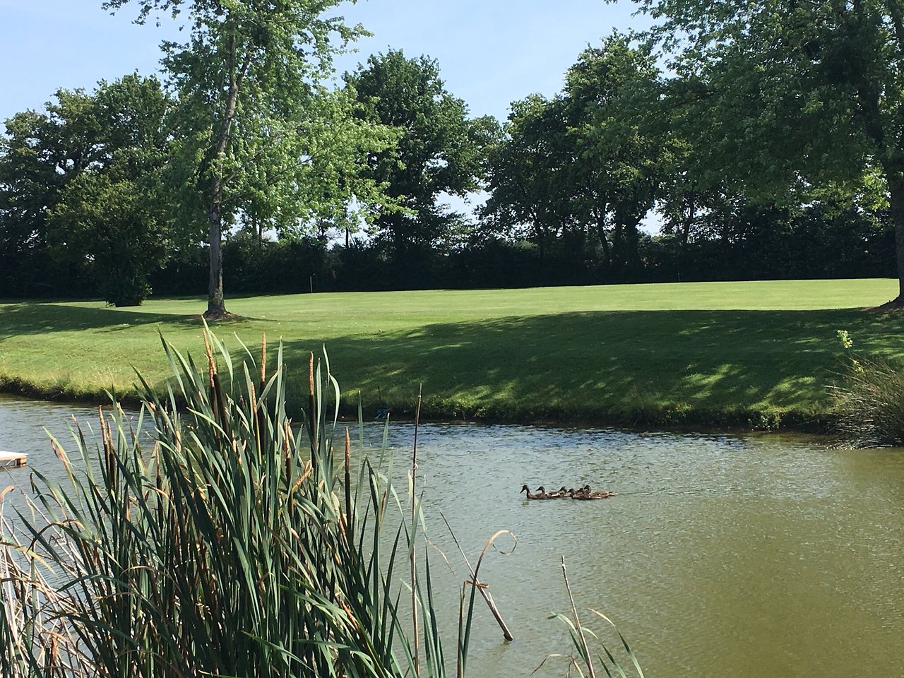 Le Jardin De Berthe Lyon Charmant Golf De La sorelle Hotel Et Restaurant Villette Sur Ain