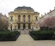 Le Jardin De Berthe Lyon Nouveau Place Des Celestins Lyon 2020 All You Need to Know