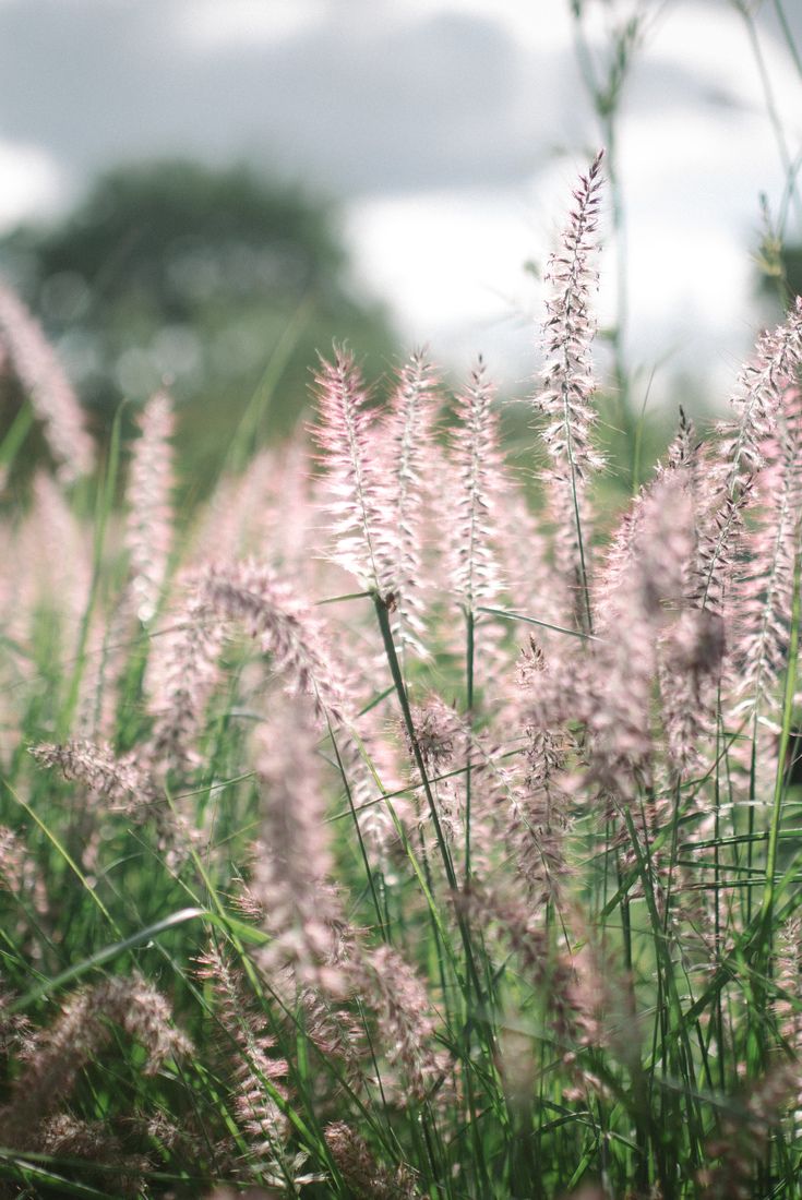 Le Jardin De Marie Best Of Les Jardins Remarquables Du Berry