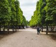 Le Jardin De Marie Charmant the Jardin Des Tuileries In Paris A Royal Gem