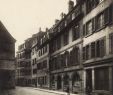 Le Jardin De Saint Adrien Luxe Maisons De Strasbourg 23 Rue Sainte Hél¨ne