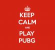 Le Jardin De Saint Adrien Nouveau Keep Calm and Play Pubg