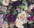 Le Jardin Des Fleurs Bordeaux Luxe 3047 Best Fleurs Et Jardin Images In 2020