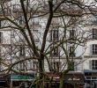 Le Jardin Des Pates Charmant the Marshalsea Saint Germain Des Prés Odéon Paris