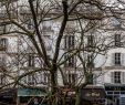 Le Jardin Des Pates Charmant the Marshalsea Saint Germain Des Prés Odéon Paris