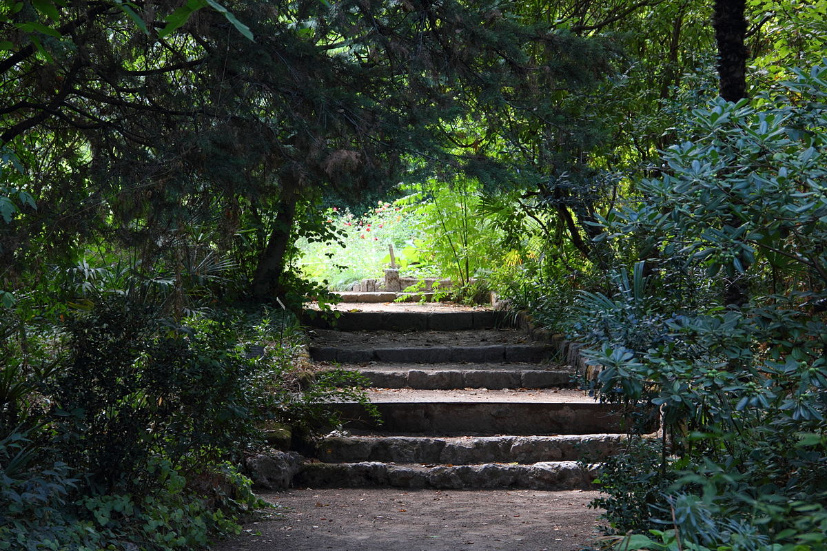 Le Jardin Des Plantes Montpellier Beau File Jardin Des Plantes Montpellier Jpg Wikimedia Mons