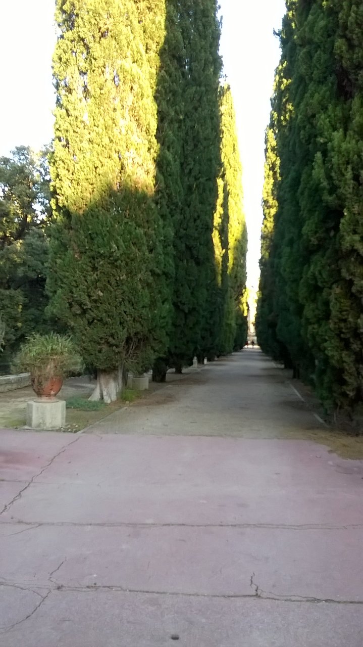 Le Jardin Des Plantes Montpellier Beau Jardin Des Plantes Montpellier Updated 2020 All You Need