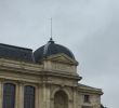 Le Jardin Des Plantes Montpellier Beau Les 145 Meilleures Images De Jardin Des Plantes Paris