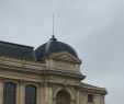 Le Jardin Des Plantes Montpellier Beau Les 145 Meilleures Images De Jardin Des Plantes Paris