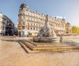 Le Jardin Des Plantes Montpellier Beau Montpellier Private tour