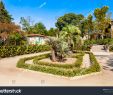 Le Jardin Des Plantes Montpellier Beau Royalty Free Montpellie Stock S & Vectors