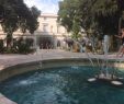 Le Jardin Des Plantes Montpellier Beau the top 10 Things to Do Near Nabab Montpellier Tripadvisor