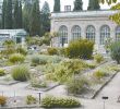 Le Jardin Des Plantes Montpellier Charmant Jardin Des Plantes De Montpellier