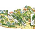 Le Jardin Des Plantes Montpellier Élégant Quelques Exemples De Pages Du Livre