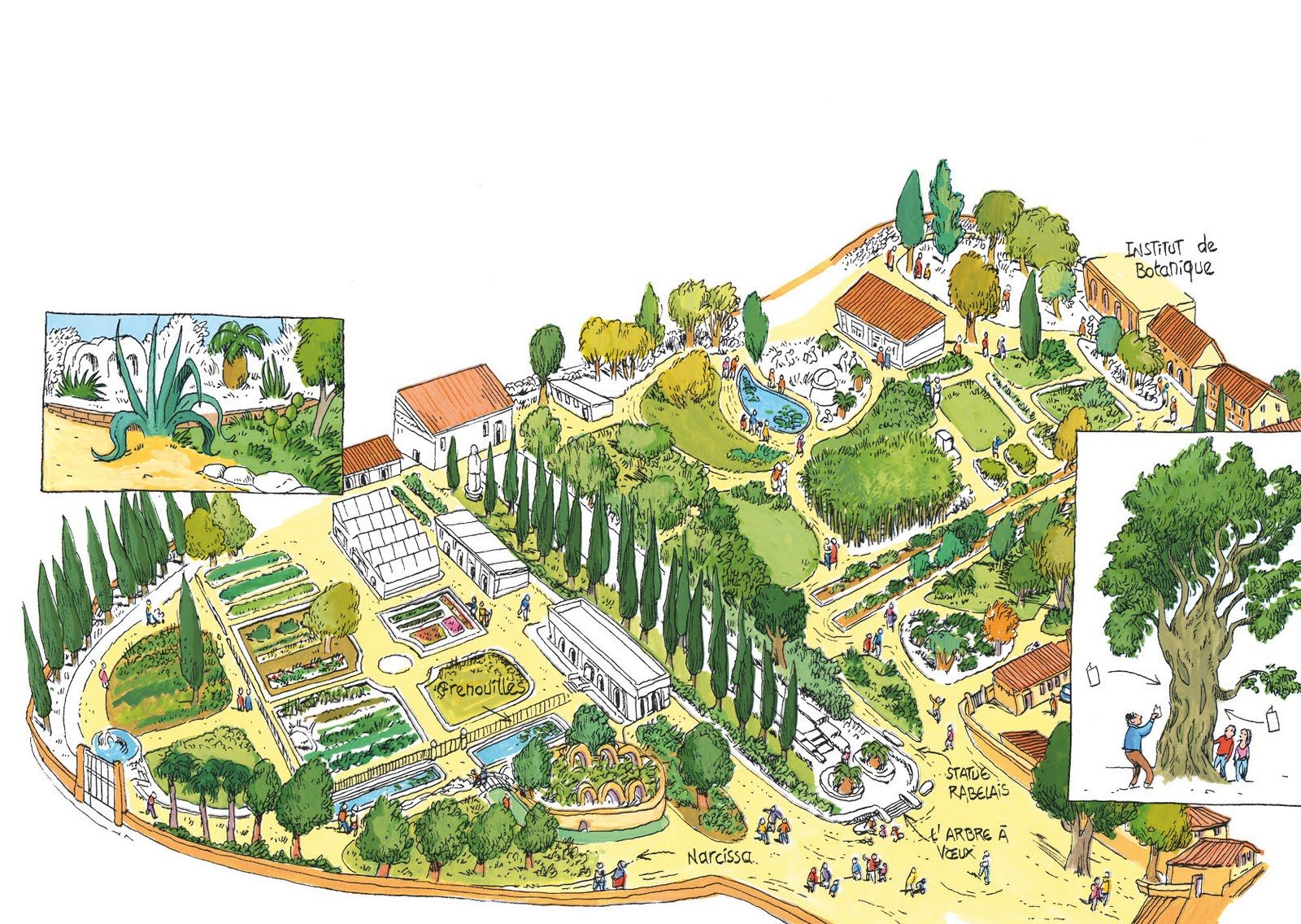 Le Jardin Des Plantes Montpellier Élégant Quelques Exemples De Pages Du Livre