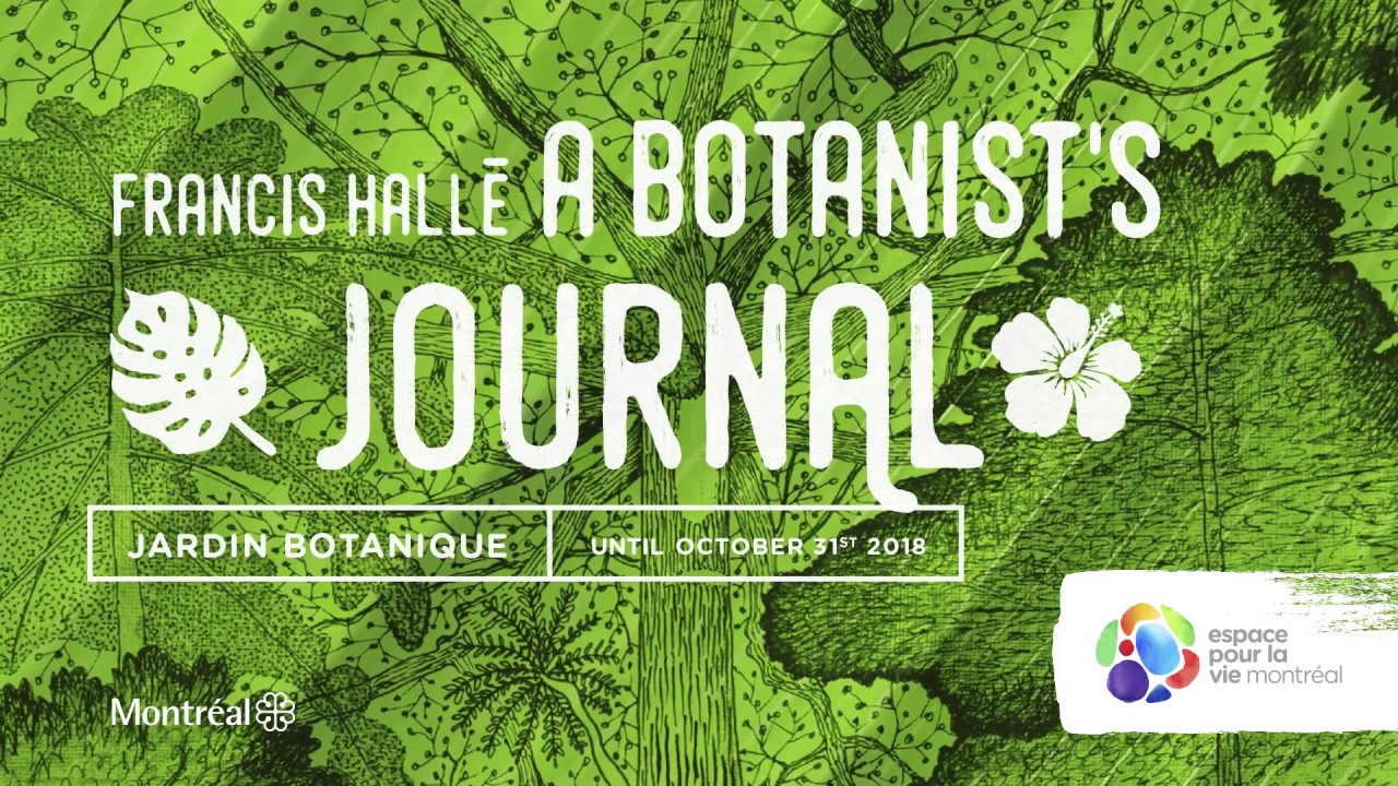 Le Jardin Des Plantes Montpellier Génial Francis Hallé A Botanist S Journal