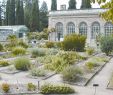 Le Jardin Des Plantes Montpellier Génial Jardin Des Plantes De Montpellier