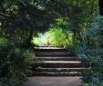 Le Jardin Des Plantes Montpellier Inspirant File Jardin Des Plantes Montpellier Jpg Wikimedia Mons