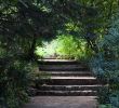 Le Jardin Des Plantes Montpellier Inspirant File Jardin Des Plantes Montpellier Jpg Wikimedia Mons