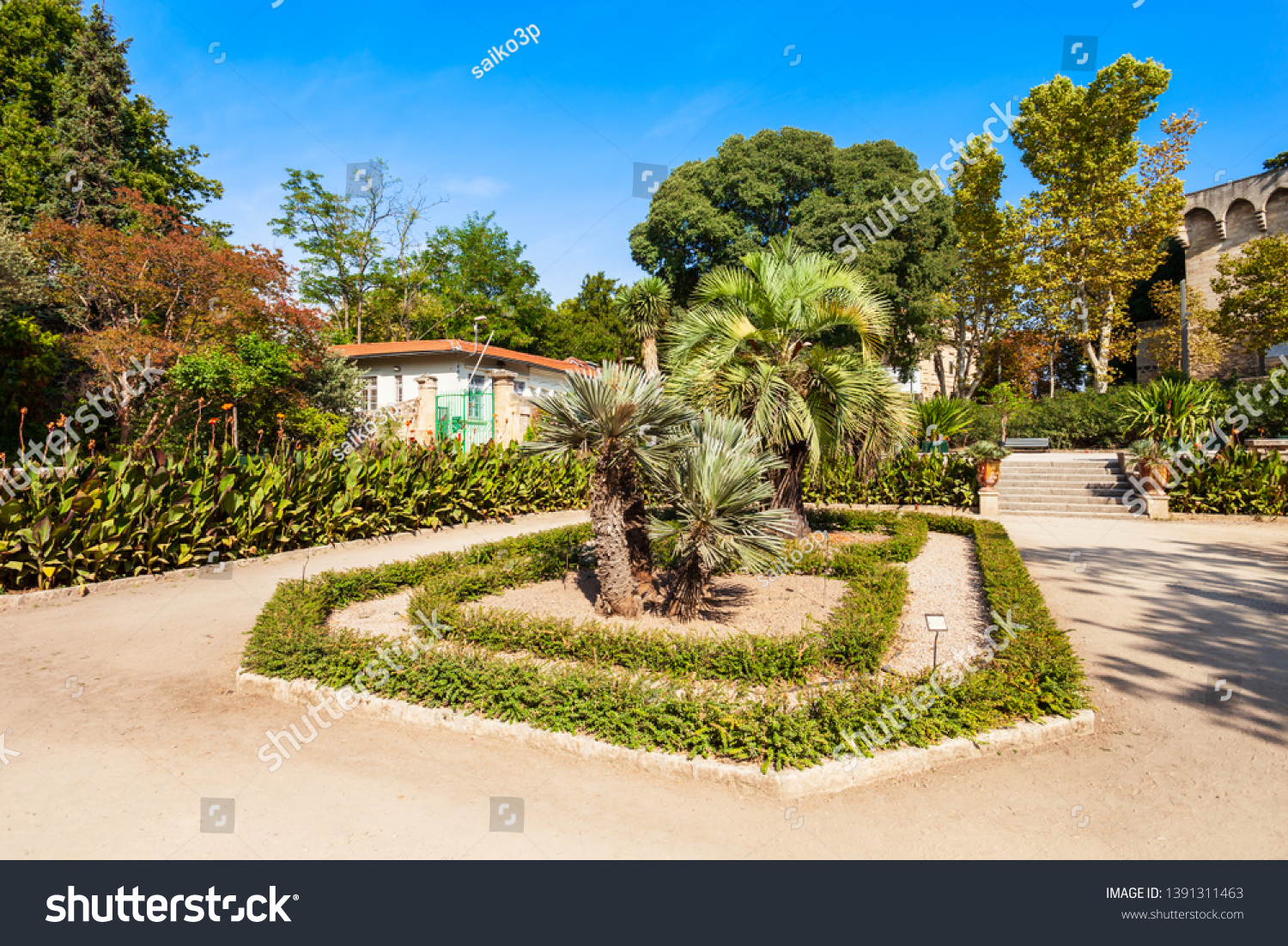 stock photo the jardin des plantes de montpellier is a public botanical garden in montpellier city france