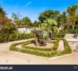 Le Jardin Des Plantes Montpellier Inspirant Royalty Free Montpellie Stock S & Vectors