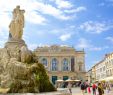 Le Jardin Des Plantes Montpellier Inspirant Visit Montpellier Best Of Montpellier Occitanie Travel