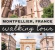 Le Jardin Des Plantes Montpellier Luxe Free & Self Guided Montpellier Walking tour southern France