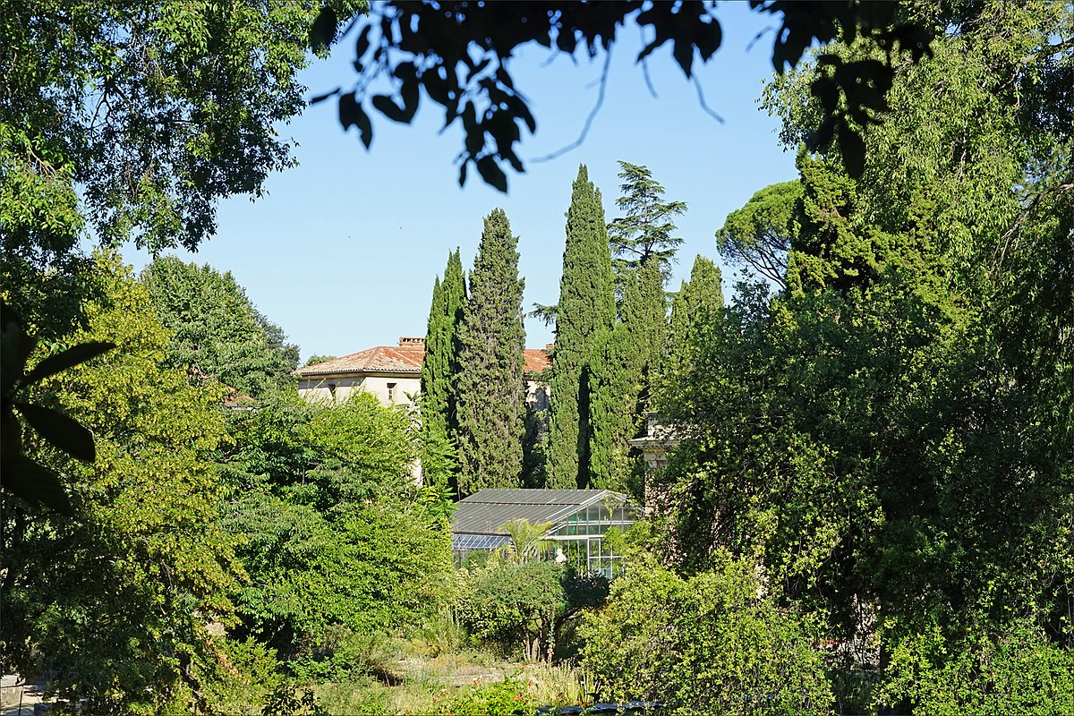 Le Jardin Des Plantes Montpellier Nouveau File Le Jardin Des Plantes Montpellier