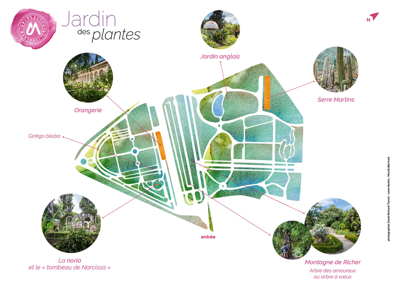 jardin des plantes plan